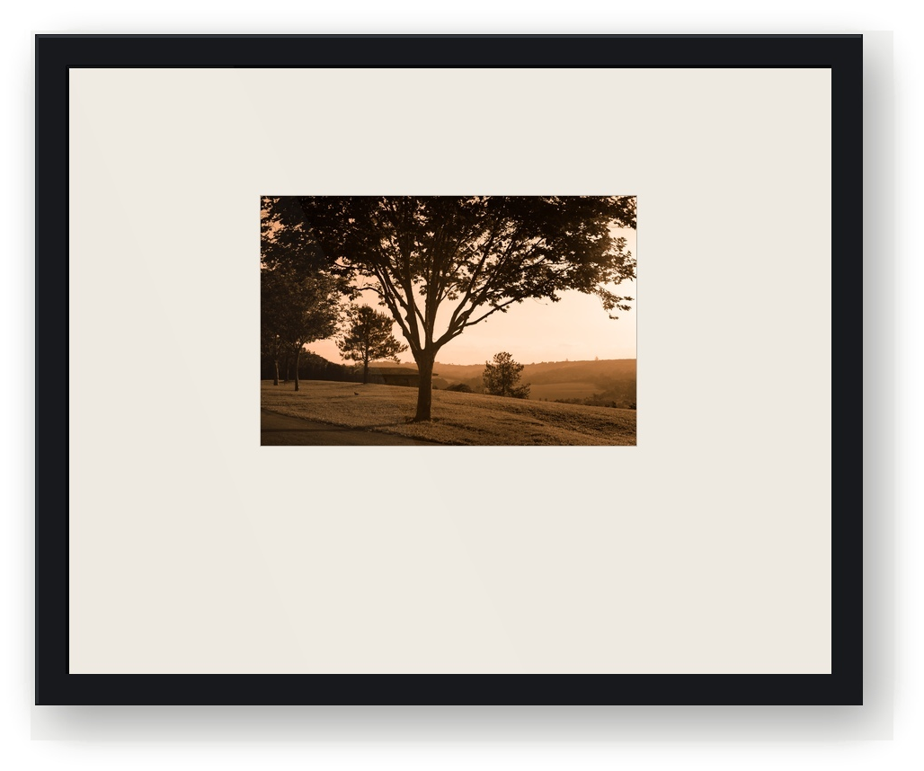 Quadro L'Ora Silenziosa, fotografia de árvore em paisagem iluminada pelo sol baixo